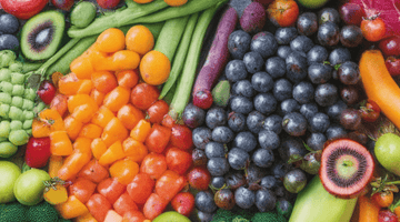 Nutrition 101: Understanding Essential Nutrients for a Balanced Diet