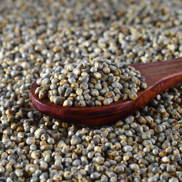 Bajra (Pearl Millet): The Wise Grain That’s Rooted in Tradition, Perfected for Today🌾