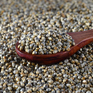 Bajra (Pearl Millet): The Wise Grain That’s Rooted in Tradition, Perfected for Today🌾