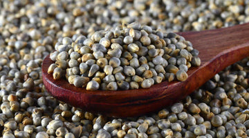 Bajra (Pearl Millet): The Wise Grain That’s Rooted in Tradition, Perfected for Today🌾