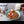 Berries and Nuts Millet Porridge